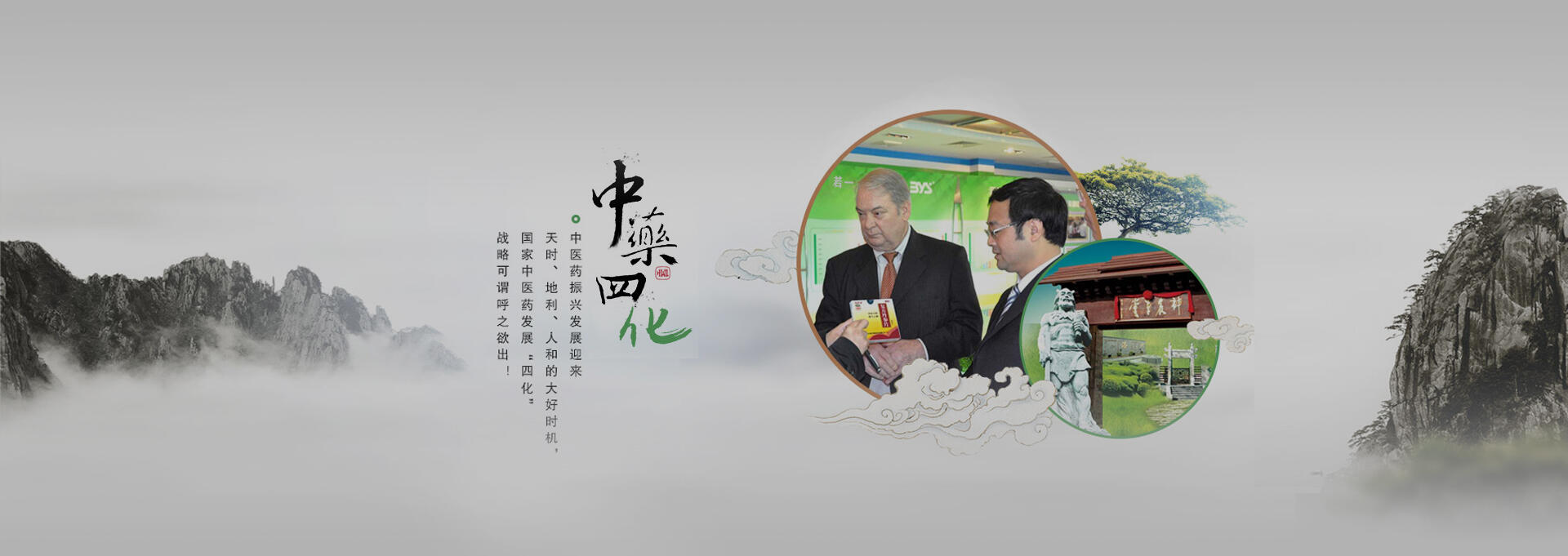 莲都建站-若一医药科技