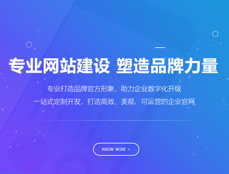 遂昌建站-专业网站建设 塑造品牌力量